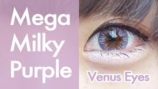 【カラコンレビュー】ヴィーナスアイズマンスリー ミルキーカラー【メガミルキーパープル】Venus Eyes Monthly Milky Color review