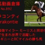 【競馬】カラコンティ　Karakontie【No892】