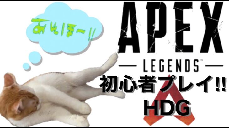 こっそりモンストしながらAPEX