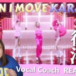 衰えぬ美しさと粋な演出に感動！ KARA (카라) ‘ WHEN I MOVE ‘MV【歌声分析】【リアクション】