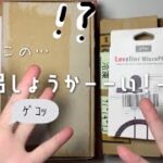 【購入品紹介📦.ᐟ.ᐟ】いいもの買ったから見て～♪