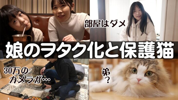 娘は部屋で何してる？ママの悲しすぎるやらかしと保護猫譲渡会の日