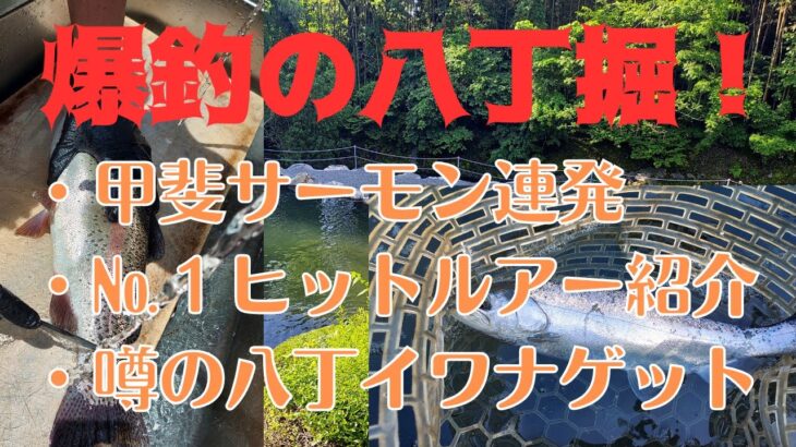 八丁堀釣り場で甲斐サーモン続出…！最も爆釣したルアーは意外にもコレだ！