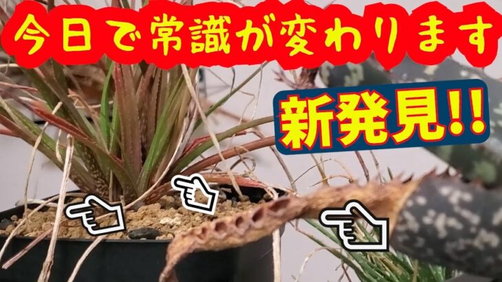 【〇〇の新常識】ご存知ですか？知らないと損!!