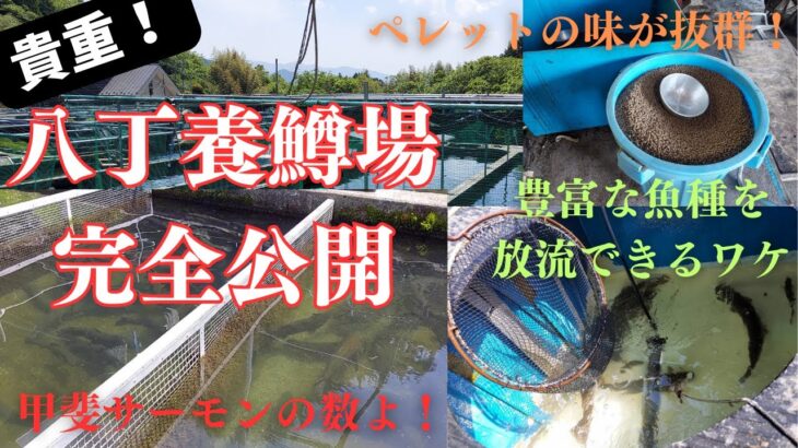 日本の水産を支える海なし県の養魚場【山梨県八丁養鱒場】