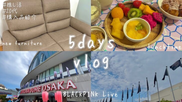 【vlog】BLACKPINKのLIVEの為に頑張る1週間｜ライブ当日｜購入品紹介｜ニトリ家具｜20代同棲カップル｜6/4京セラドーム公演｜お母さんとお出かけ【推し活】