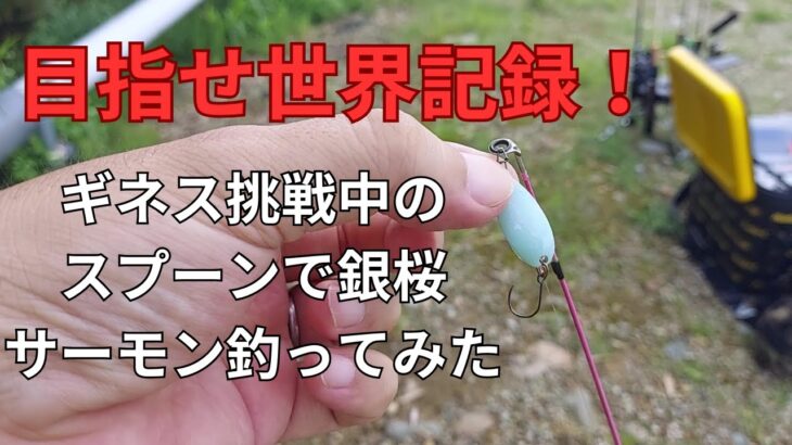 ギネス申請中のスプーンで銀桜サーモンを狙い撃ちした結果…