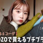 【ZOZO購入品】今年もキタ‼️普段ゾゾでしか買わない女がおすすめする推し服🍂☃️2023