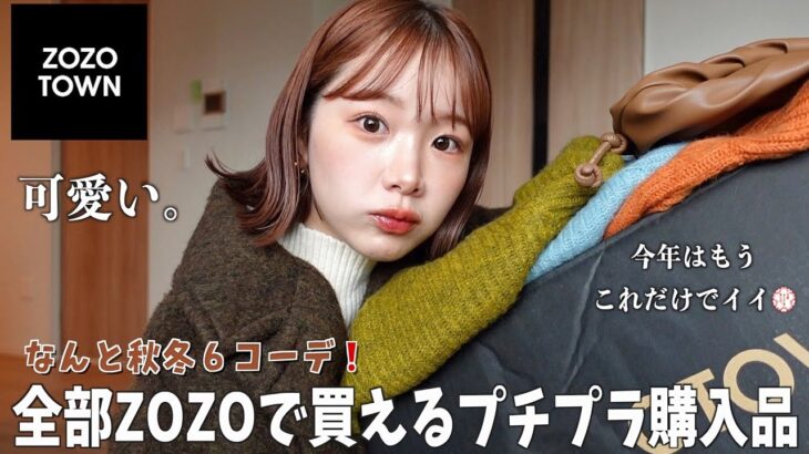 【ZOZO購入品】今年もキタ‼️普段ゾゾでしか買わない女がおすすめする推し服🍂☃️2023