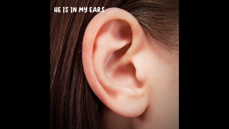 HE IS IN MY EYES HE IS IN MY EARS HE IS IN MY BLOOD HE IS IN MY TEARS