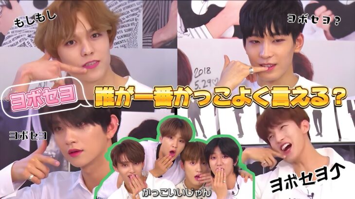 【SEVENTEEN セブチ】周りのリアクションのクセが強すぎて内容が入ってこない