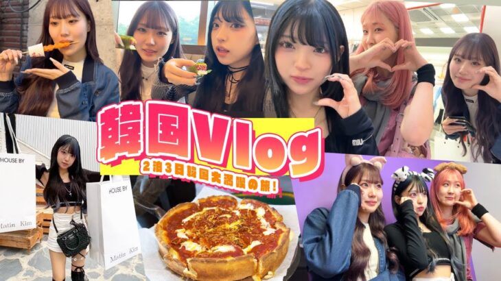 【Vlog】韓国で最高な3日間でした！！【爆買い】