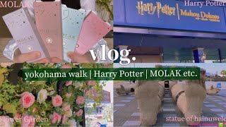 【日常vlog】横浜散歩(ハリーポッター | 赤レンガ倉庫 | フラワーガーデン | 中華街 | 山下公園) | MOLAKカラコンhaulなど