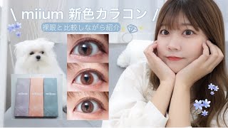 【miium新色カラコン】裸眼と比較👀透明感×垢抜け💎