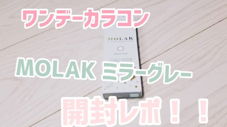 MOLAK ミラーグレー ワンデーカラコン購入！