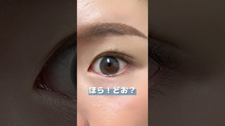 【細フチグレーカラコン好きな人は見ていった方がいいかも👀✨】#美容 #カラコン #shoorts #垢抜け #コスメ #メイク #Violafille #アネーロ #盛れるカラコン #グレーカラコン