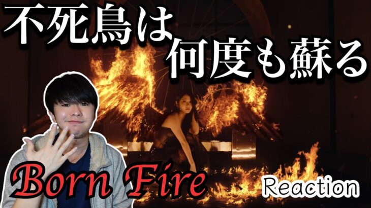 LE SSERAFIM (르세라핌) HOT TRAILER ‘Born Fire’ 【Reaction】不死鳥のように何度でも蘇る俺らのルセラフィム！ANTIFRAGILEの系譜を感じる！