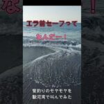 管釣りのモヤモヤを駿河湾で叫んでみた①