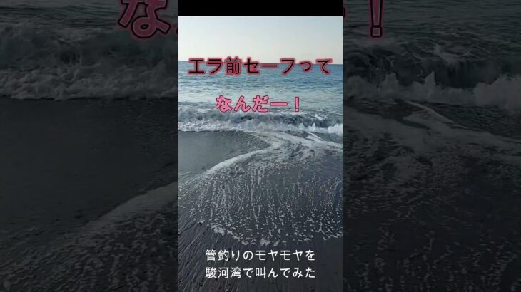 管釣りのモヤモヤを駿河湾で叫んでみた①