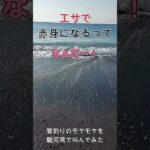 管釣りのモヤモヤを駿河湾で叫んでみた③