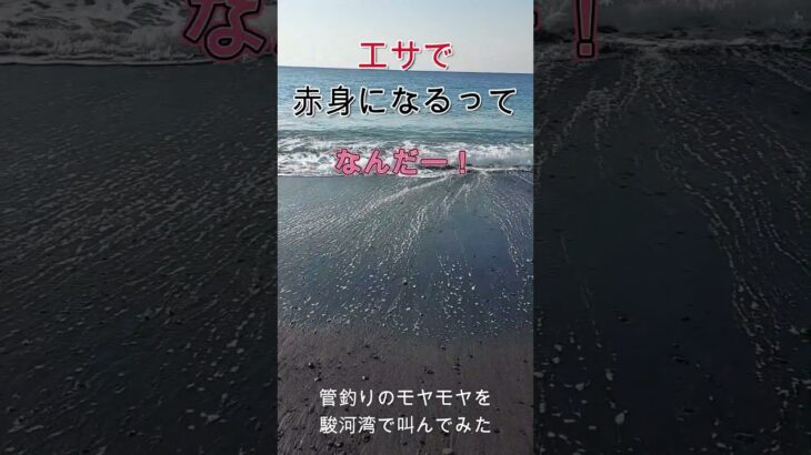 管釣りのモヤモヤを駿河湾で叫んでみた③