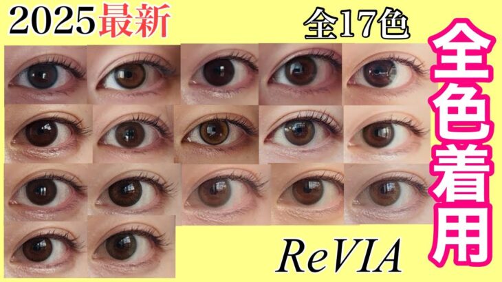 【2025最新】【ReVIA】レヴィア全17色着用レビュー|ReVIA1day 【ナチュラルカラコン】