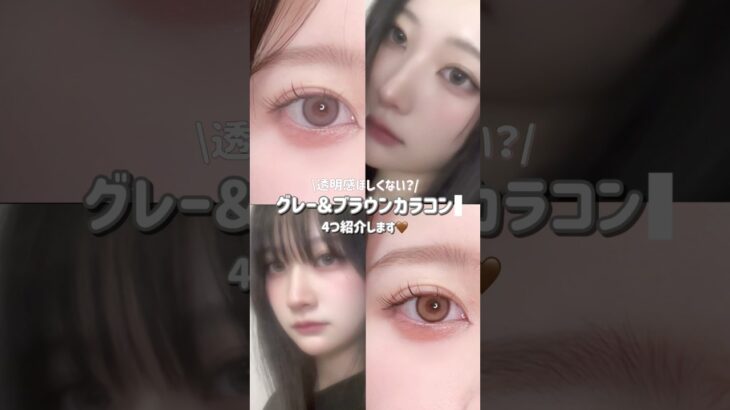 カラコンレポ4種‎🤍グレー＆ブラウン編