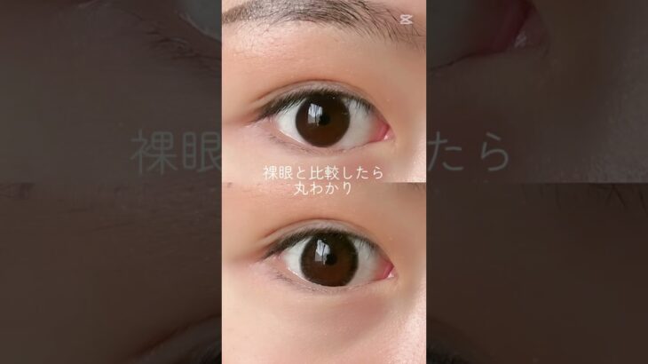 【最近なんでこのカラコンが売れてるか気になってマシタ…】#shoorts #カラコン #カラコンレポ #カラコン初心者 #美容 #垢抜け #コスメ #メイク #プチプラ #ナチュラルカラコン