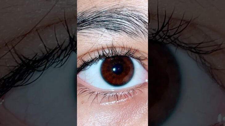 MY EYESSSSS 💗💗 (justice for underrated brown eyed ppl)ALSO LOVE OTHER EYE COLORS APART FROM THOSE