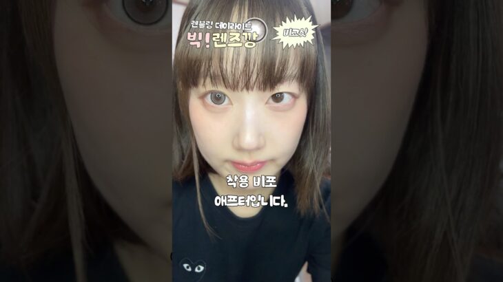 #협찬 빅!렌즈깡 렌블링 데이라이트 밀크쵸코🥛🤎#렌즈 #렌블링 #축고정 #컬러렌즈 #빅렌즈추천 #직경큰렌즈 @데이라이트밀크쵸코