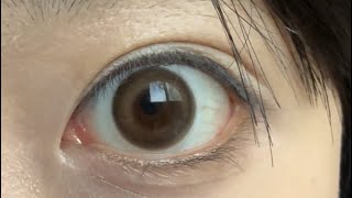 오렌즈 체리문 브라운 13.2