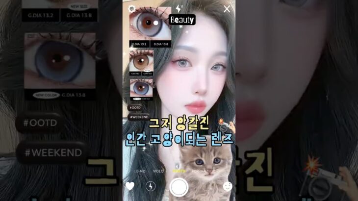 마이피픈 비브벤티 렌즈 리뷰 NEW 데님 차콜 오트밀 비교 👀 픽싱렌즈로 하루종일 안정감✨